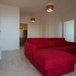 Apartament Luna - *
